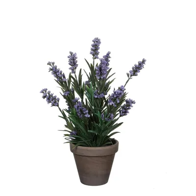 Produktbild von Mica Decorations Lavendel Kunstpflanze im Blumentopf Stan - H33 x Ø20 cm - Blau