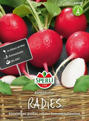 Produktbild von Radies ''Riesenbutter'' klassisches, großes, rundes Sommerradieschen