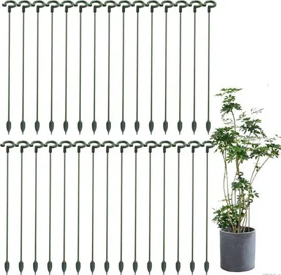 Produktbild von 27 cm Kunststoff-Blumenstütze für Zimmerpflanzen, 30er Pack, Orchideenstöcke, Klimmhilfe
