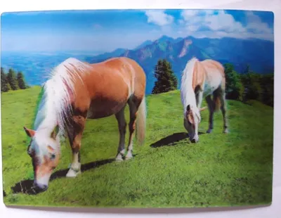 Produktbild von 3 D Ansichtskarte Pferde, Postkarte Wackelkarte Hologrammkarte Tiere Pony Pferd