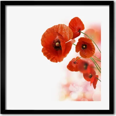 Produktbild von Bild - 50 cm x 50 cm - MDF - Rahmen, Wandkunst - Maki