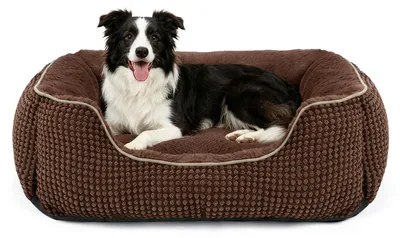 Produktbild von Hundenbett für mittelgroße Hunde, waschbar, 76x61x23 cm, Hundematte für drinnen