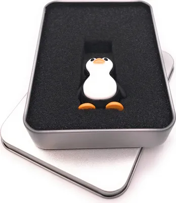 Image de Onwomania Pingouin debout Arctique animal Clé USB en boîte cadeau alu 8 GB USB 2.0
