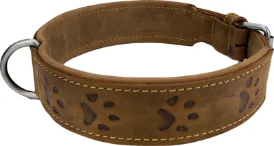 Produktbild von Greenburry-Vintage-1609-25-Leder-Hundehalsband-L