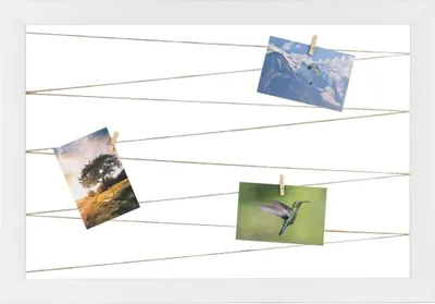 A white framed collage board with strings and clothespins holding up four photographs.
