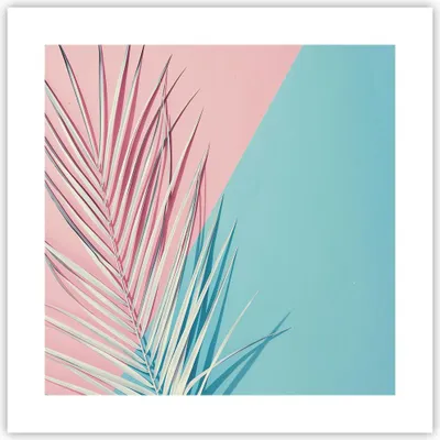 Produktbild von Poster - Poster ohne Rahmen - Blatt Rosa Türkis - 40x40 cm - Wand Bild - Wanddeko - Wandbilder - Kunstposter - Wandposter - Bilder - Kunstdruck - Wanddekoration - Wandbild - P2XAC40x40-4421
