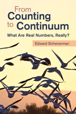Produktbild von From Counting to Continuum