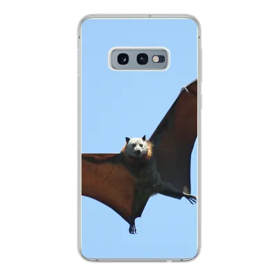 Produktbild von MuchoWow® Handyhülle Schutzhülle Hülle für Samsung Galaxy S10e Fledermaus - Luft - Flügel Silikon Softcase Handy Hülle - Handy