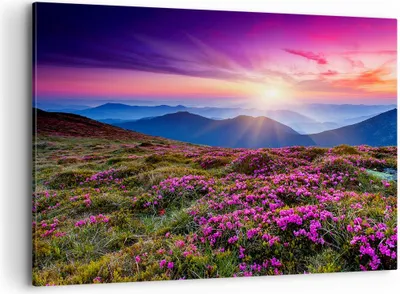 Produktbild von Bild auf Leinwand - Leinwandbild - Wiese Berg Himmel Landschaft - 120x80cm - Wand Bild - Wanddeko - Leinwanddruck - Bilder - Kunstdruck - Wanddekoration - Leinwand bilder - Wandkunst - AA120x80-2719