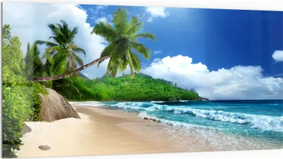 Produktbild von DEQORI Küchenrückwand Glas 100x50 cm 'Tropische Strandkulisse' Spritzschutz Bad Rückwand