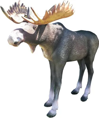 Produktbild von Elch Lebensgroß Elchfigur Lebensgroße Tierfiguren Hirsch Elchbulle Elchkuh Bulle