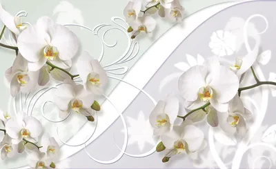 Produktbild von Fototapete Vlies 1206 VEXXL Weiße Orchidee Dekor 3-tlg. 312 x 219 cm