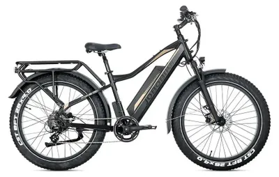 Produktbild von JOBOBIKE Robin Pro - Schwarz-Gold