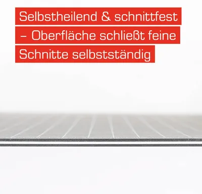 Produktbild von DAHLE Schneidematte Vantage schwarz 30 x 45 cm