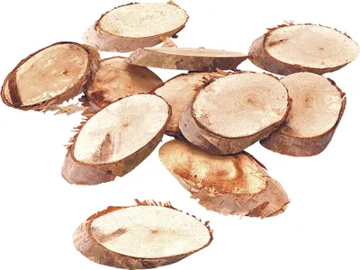 Produktbild von 6XKNORR prandell 218008750 Holzscheiben 6cm