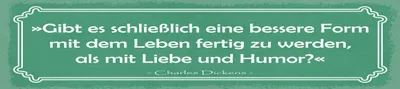 Produktbild von vianmo Blechschild 10x46 cm Zitat  als mit Liebe und Humor