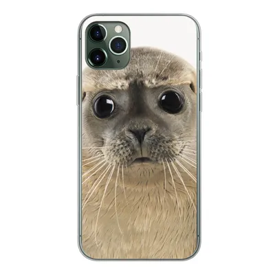 Produktbild von MuchoWow® Handyhülle Schutzhülle Hülle für iPhone 11 Pro Max Jungen - Robbe - Kinder - Mädchen - Tiere Silikon Softcase Handy Hülle - Schutz