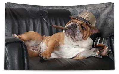 Immagine prodotto di Tappeto da parete con un cane divertente, ideale per la decorazione