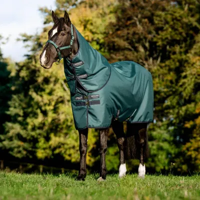 Produktbild von Horseware Amigo Ripstop 900D Plus 200g