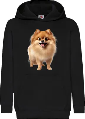 Zdjęcie produktu dla Dziecięca Bluza Z Kapturem Dogs Breeds Pomeranian Dog Breed 005, 5-6 Jahr - 116 / Czarny