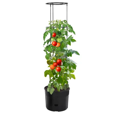 Immagine prodotto di Vaso a Torre per Pomodori Antracite Ø39x150 cm Polipropilene
