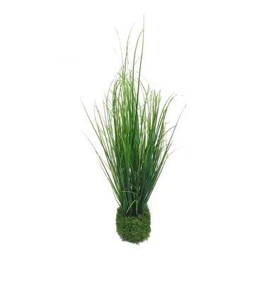 Produktbild von DPI Gras aus dem Gras 44 cm - Kunstblumen
