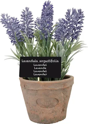 Produktbild von Esschert Design Kunst-Lavendel in AT Topf L; AH010