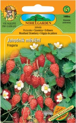Obrázek produktu pro Jahodník měsíční