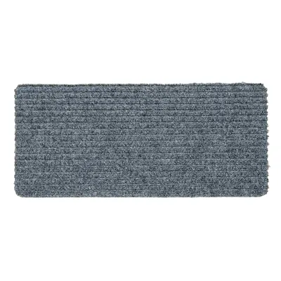 Zdjęcie produktu dla Astra wycieraczka wewnętrzna RIB LINE MINI srebrna 25 x 60 cm