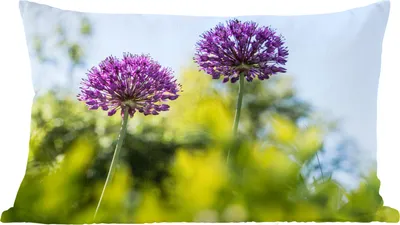 Produktbild von MuchoWow® Zierkissen Sofakissen Wohnzimmer Dekokissen 60x40 cm Blumen - Garten - Lila - Kopfkissen - Polster mit Foto