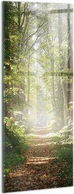 Produktbild von Designer Glasbild - Wandbild - Glas Bild - 50x125 cm - Forststraße Zwischen Den Bäumen