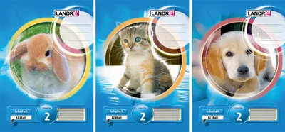Produktbild von LANDRÉ Schulheft DIN A4 Lineatur 2 / liniert 16 Blatt zufälliges Motiv (1 Stück)