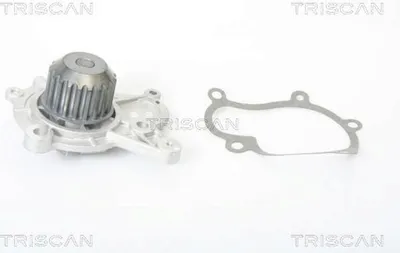 Image de TRISCAN Pompe à eau 8600 43003