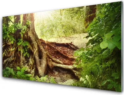 Produktbild von Acrylglasbilder 100x50 Wandbild Druck Baumstamm Natur