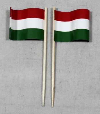 Produktbild von Party-Picker Flagge Ungarn Papierfähnchen in Spitzenqualität 25 Stück Beutel