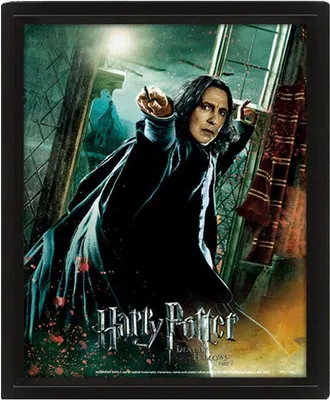 Produktbild von Harry Potter – Die Heiligtümer des Todes – 3D-Linsenposter 26 x 20 cm