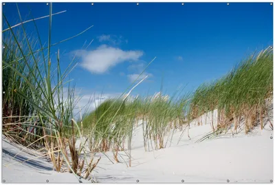 Produktbild von Wallario XXL Outdoor-Poster für Garten oder Balkon, Motiv Düne am Strand unter blauem Himmel, in ca. 300 x 200 cm