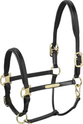 Produktbild von Eskadron Halfter Leather Elegance Lederhalfter Black VB