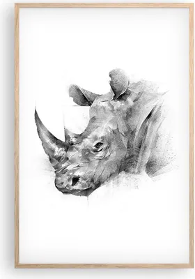 Produktbild von Gerahmtes Poster - Rahmen in heller Eiche - Nashorn Porträt Grafik - 61x91,5 cm - Wand Bild - Wanddeko - Wandbilder - Kunstposter - Wandposter - Bilderrahmen - Bilder - Kunstdruck - P2NPA61x91-4378