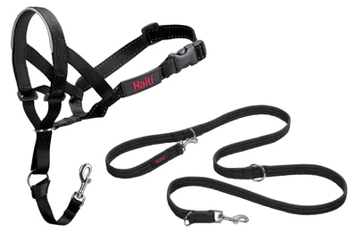 Productafbeelding van Halti halsband en trainingslijn, combipakket, voorkomt dat de hond trekt