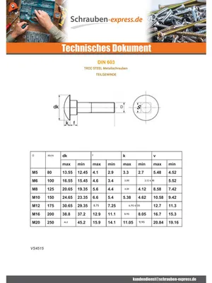 Produktbild von Schlossschraube M6x100 Teilgewinde Verzinkt