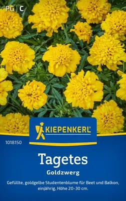Produktbild von Kiepenkerl Tagetessamen Goldzwerg Tagetes patula 50 Pflanzen