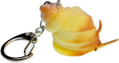 Produktbild von Wasserschnecke Schlüsselanhänger Miniblings Schnecke Meerestier Muschel gelb