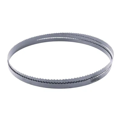 Obrázek produktu pro SCHEPPACH pilový pás 1790 x 10 mm 6Z pro pásovou pilu HBS261