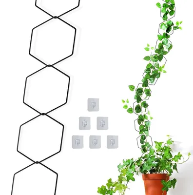 Imagen del producto de Juego de 18 cuerdas de cuerda para plantas trepadoras, con ganchos