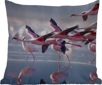 Produktbild von MuchoWow® Outdoor Kissen - Flamingo - Vogel - Wasser - Rosa - 45x45 cm - Wetterfest - Lounge Kissen - Fotokissen - Dekoratives Kissen