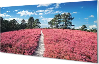Produktbild von Glasbilder 100x50 Wandkunst Field heathers