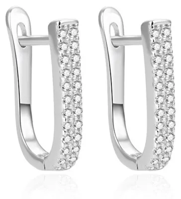 Produktbild von Silver earrings with zircons AGUC1429