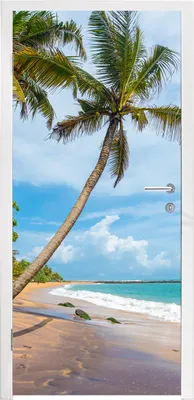 Produktbild von MuchoWow® Türtapete Selbstklebende Türfolie Palme - Strand - Meer 90x235 cm Türposter Türaufkleber Klebefolie Türklebefolie - XXL-Plakaten - Foster für Türen - Aufkleber