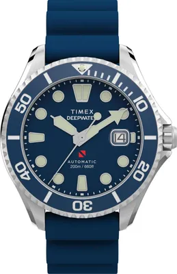 Image de Montre Timex TW2Y39900 bleue